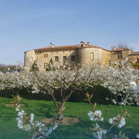 Gourmet Getaway - Château de Bagnols