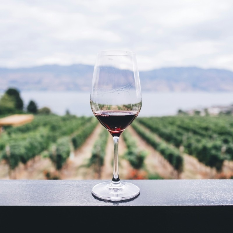 Hermitage Wine Flight - Discovery Package | JetBooking