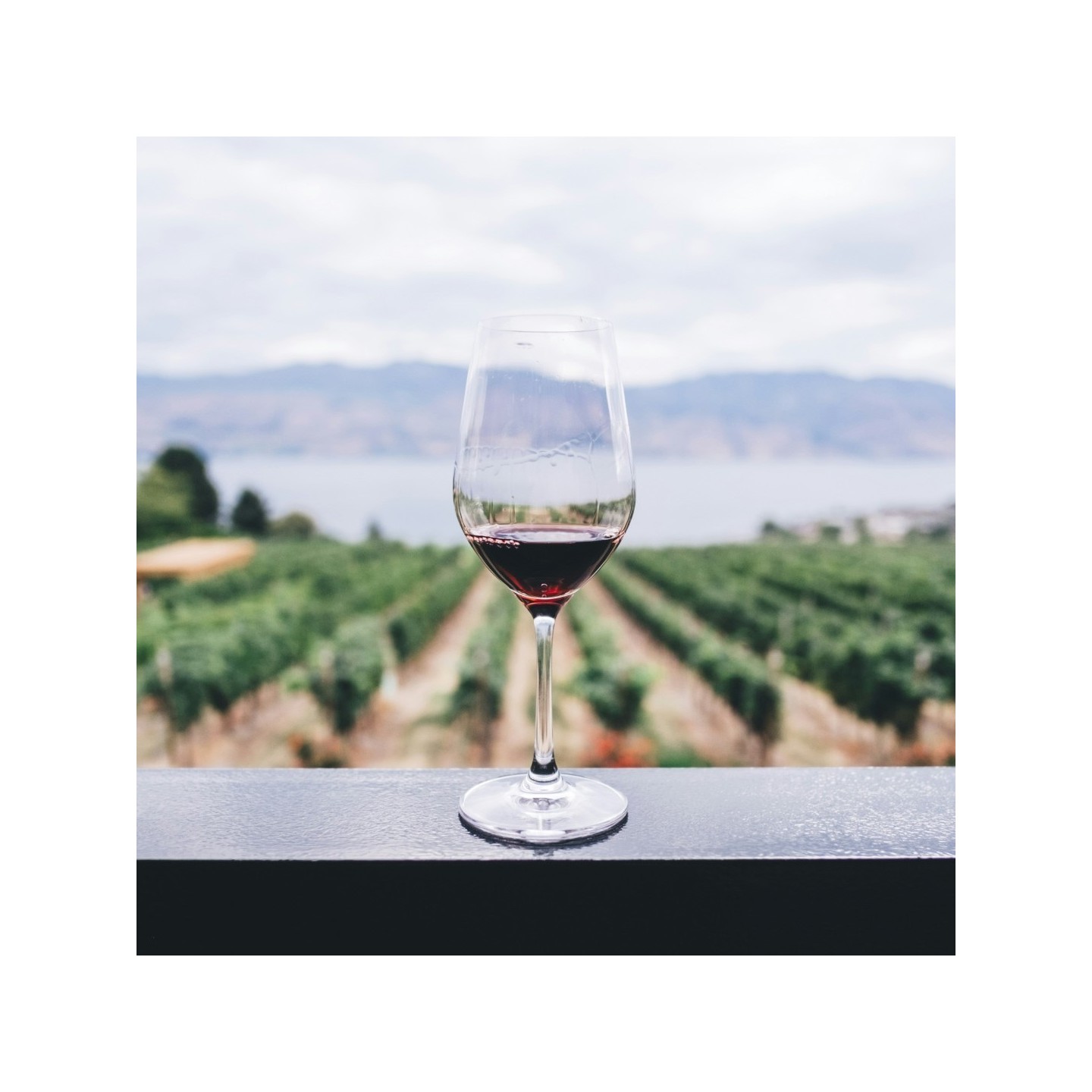 Vol œnotourisme Hermitage – Package Découverte hélicoptère (5 pers)