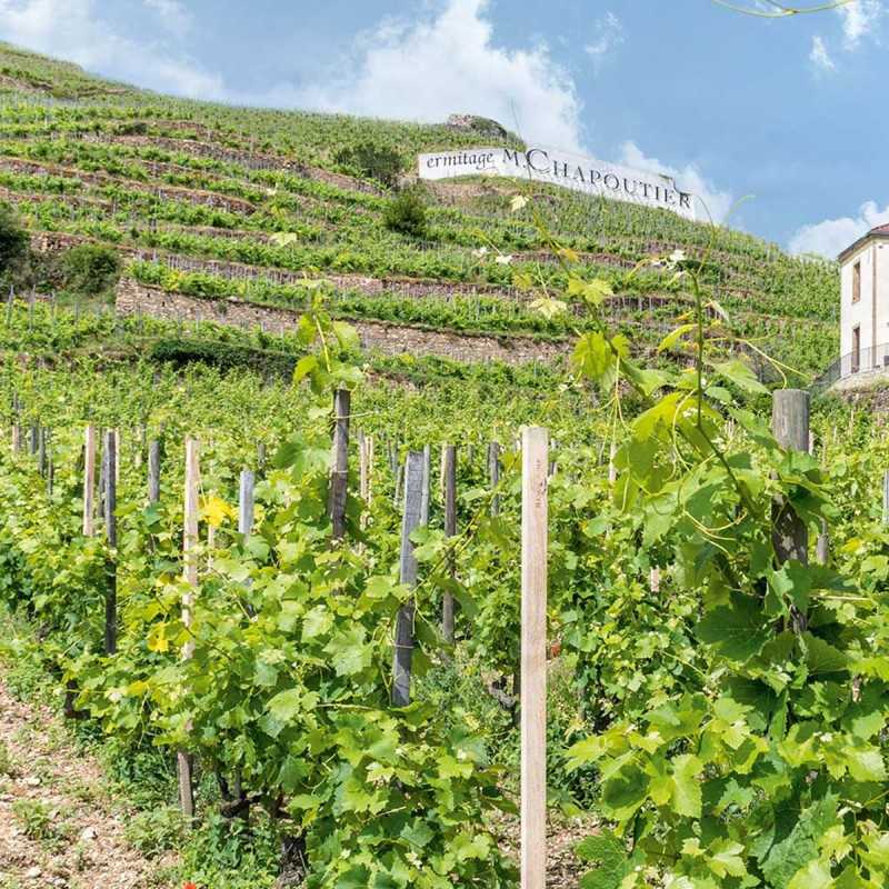 Vol œnotourisme – Package Expert Hermitage hélicoptère + dégustation