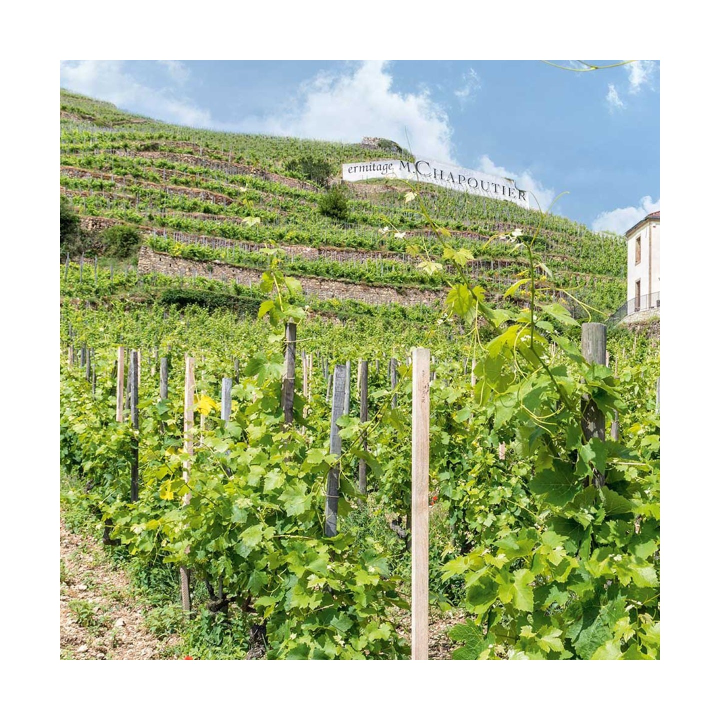 Vol œnotourisme – Package Expert Hermitage hélicoptère + dégustation