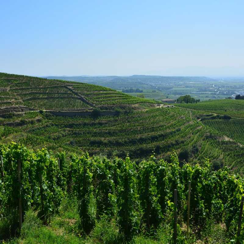 Expérience Grand Cru – Vol hélicoptère + sommelier privé Hermitage