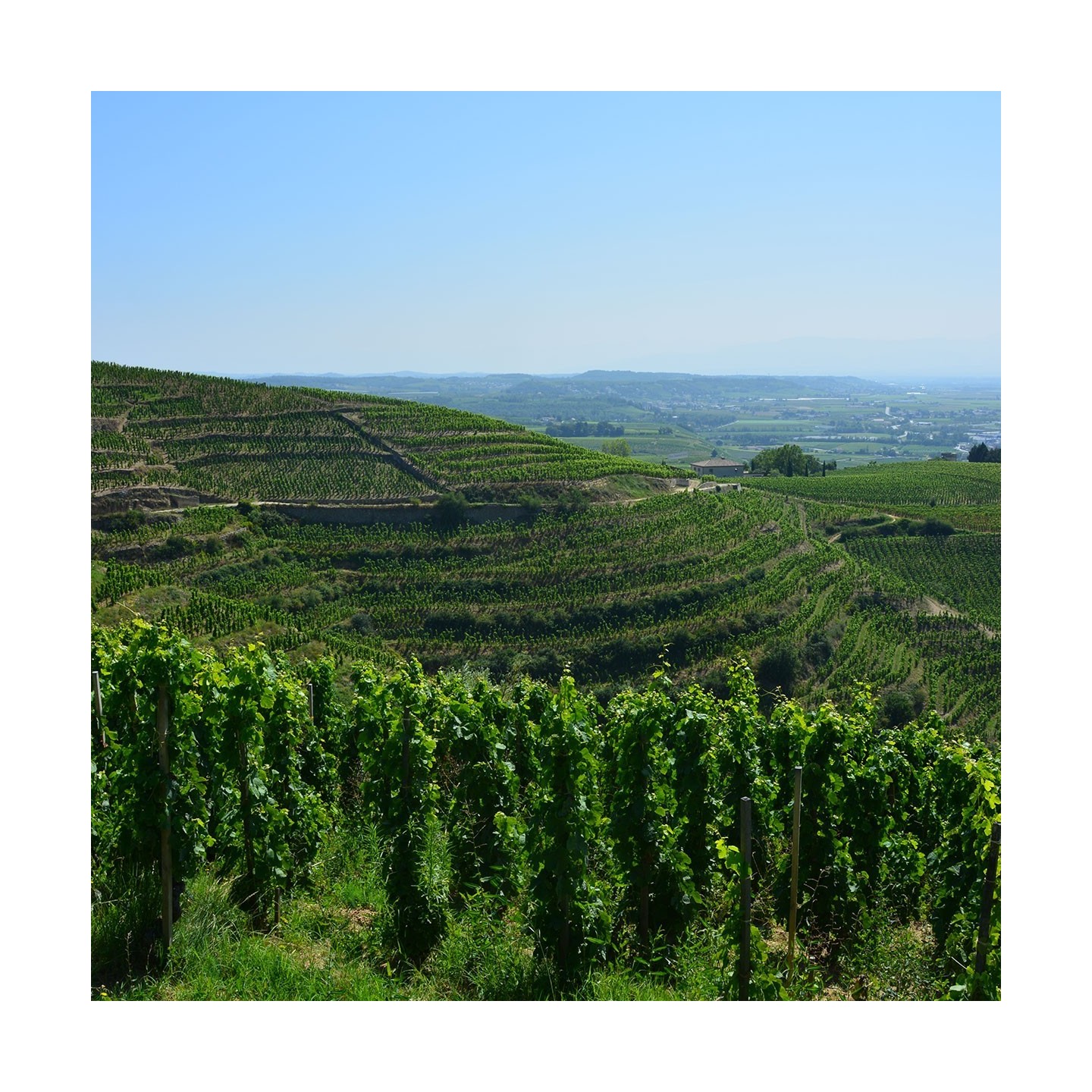 Expérience Grand Cru – Vol hélicoptère + sommelier privé Hermitage